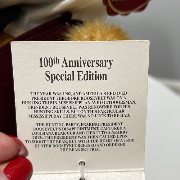 Dandee Collector's Edition 100th Anniversary 1902-2002 Teddy Roosevelt Bear - Picture 6 of 13